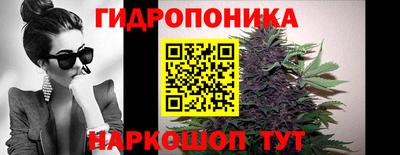 стаф Пенза