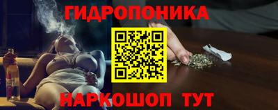 стаф Пенза